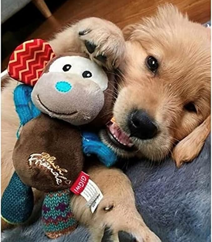 GiGwi Plush Friendz Monkey Toy