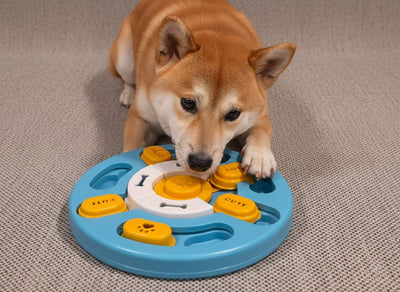 Dog puzzle enrichment feeder with flower-style treat compartments for mental stimulation – PawStock Australia