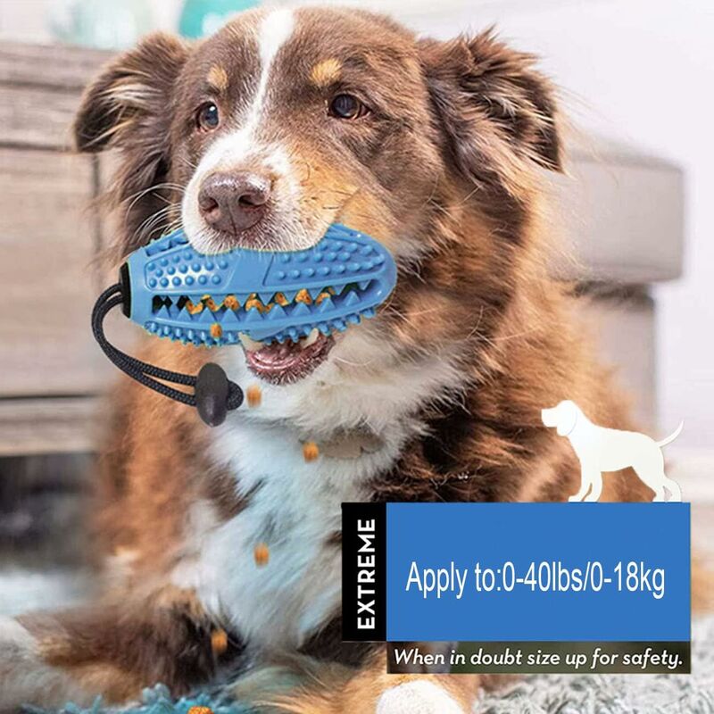 Dog Chew Toy, Educational Dog Toy, Heavy Duty Rubber, Blue - Biting, Chasing And Fetching Toy - For Medium Dogs