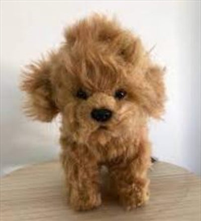 Toy Poodle Tea Cup 16cm