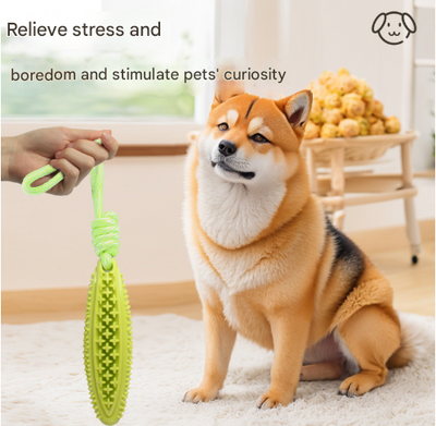 Orange Star Long Olive Durable Cotton Rope Dog Toy Set (2-Pack) - Chew, Tug & Treat Dispensing Ball for Dental Health