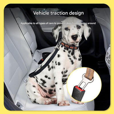 Black Shock Absorbing Dog Leash with Reflective Stitching - 135cm for Small to Large Dogs