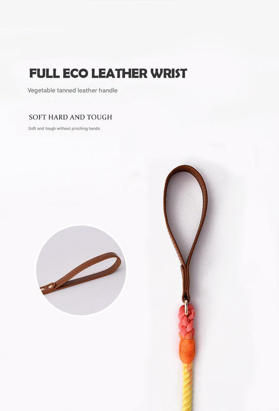 Premium Leather Pet Collar and Leash - Soft, Strong Braided Rope (Honey orange - Size S)