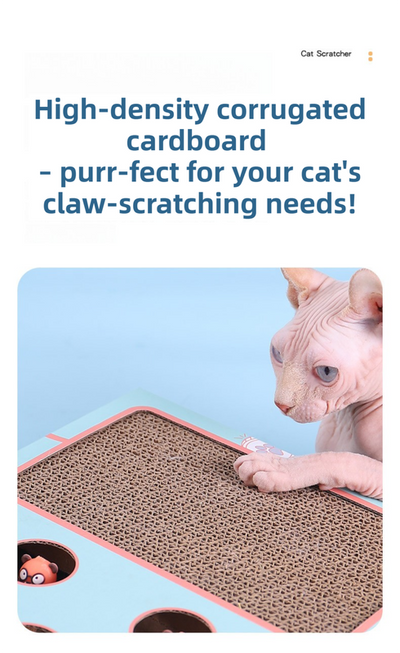 Whack-A-Mole Cat Toy (Plush Mole & 5 Hole) - Interactive Puzzle Box