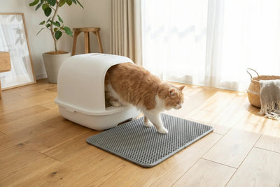 cat litter mat helping reduce litter mess on floor