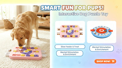 Interactive dog toys for bored dogs in Australia