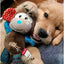 GiGwi Plush Friendz Monkey Toy
