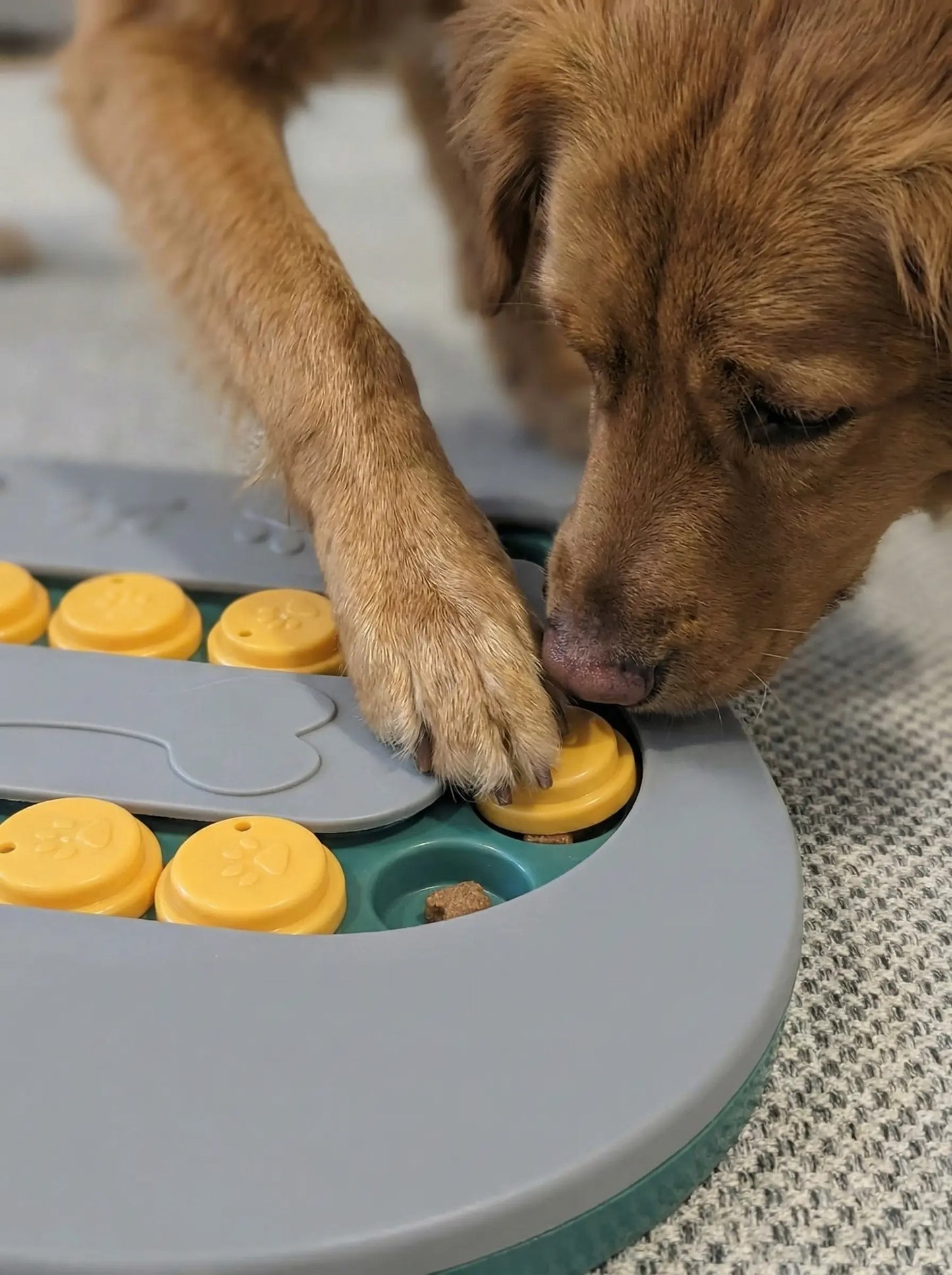 Interactive Dog Puzzle Toy – Slow Feeder