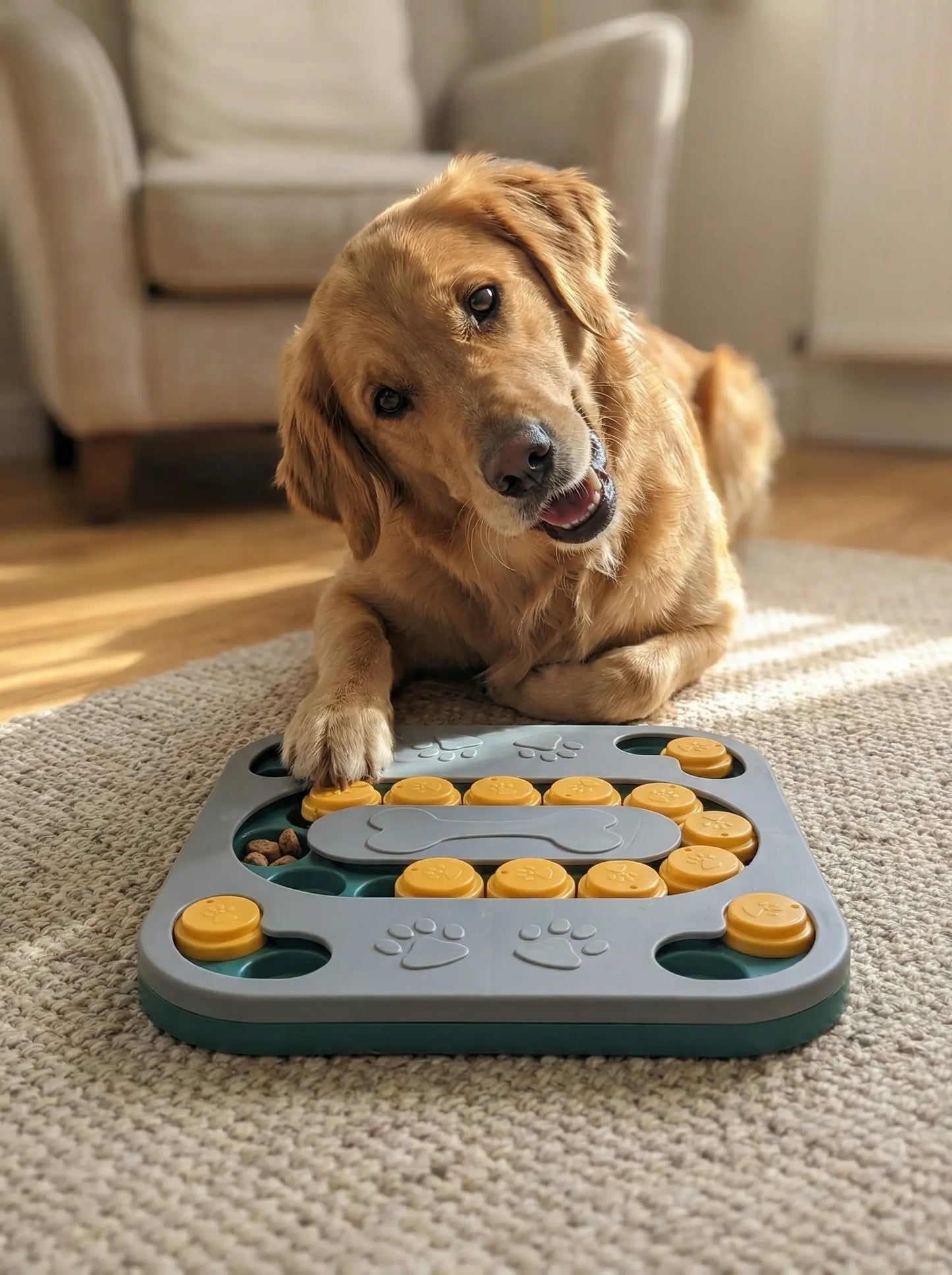 Interactive Dog Puzzle Toy – Slow Feeder