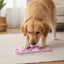 Dog using interactive puzzle toy slow feeder in Australia