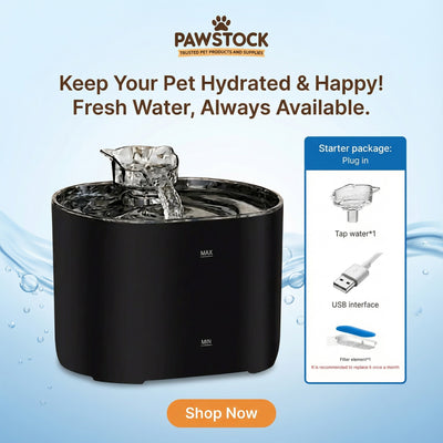 Automatic Pet Water Fountain with Filtered Flowing Water for Cats & Dogs – Pawstock Australia