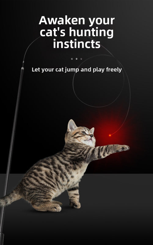 Interactive LED telescopic pole cat teaser stick
