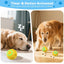 Electric bouncing ball for grinding teeth and teasing pets