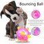 LED Dog Jumping Ball, Jump Activated, Rubber Light Up Ball, Non-Toxic Flashing Jumping Balls, Non-Toxic Pet Flash DAnce