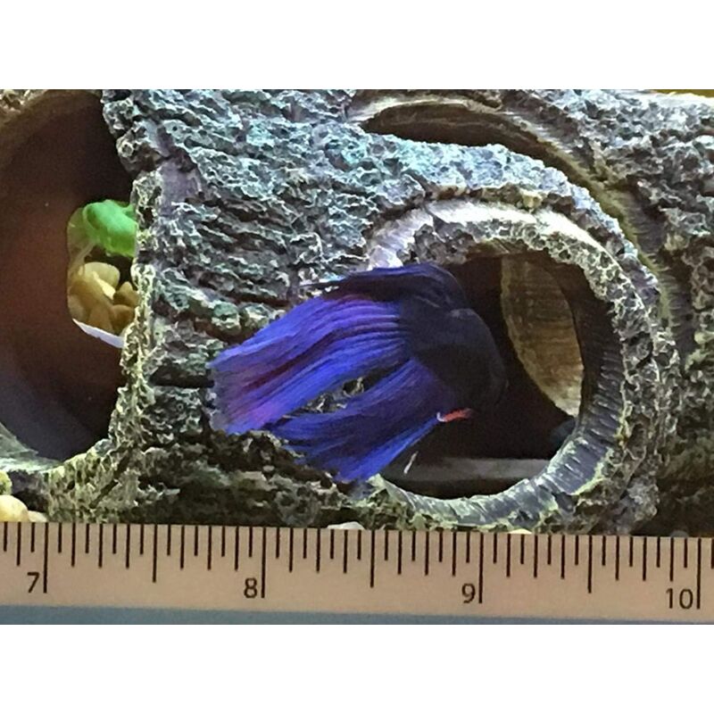 Aquarium Decoration Resin ROot, Aquarium Cave Tree Decoration Artificial Cave For Aquarium Ornaments Home Decor Garden