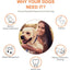 2 pcs Dog Chew Toys, Durable Rubber Ring Dog Toy, Dog Teeth Cleaning Toy For Large And Medium Dogs