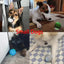 Interactive Dog Ball 5.6cm – Self-Rolling Automatic Toy for Small Dogs