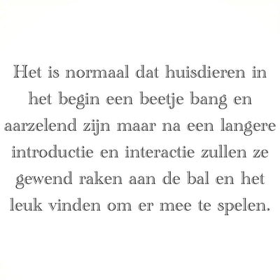 Interactive Dog Toy - Self-Rolling Dog Ball - Durable Orange Automatic Ball - 5 cm