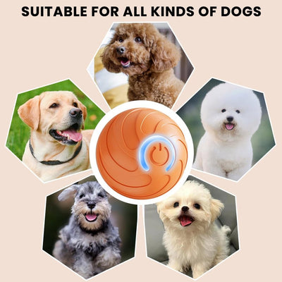 Pet Toys - Dog Toys - Interactive Dog Toys - Automatic Moving, Bouncing and Rotating Dog Ball - IPX7 Waterproof - Active Rolling Ball for Small and Medium Dogs (Blue)