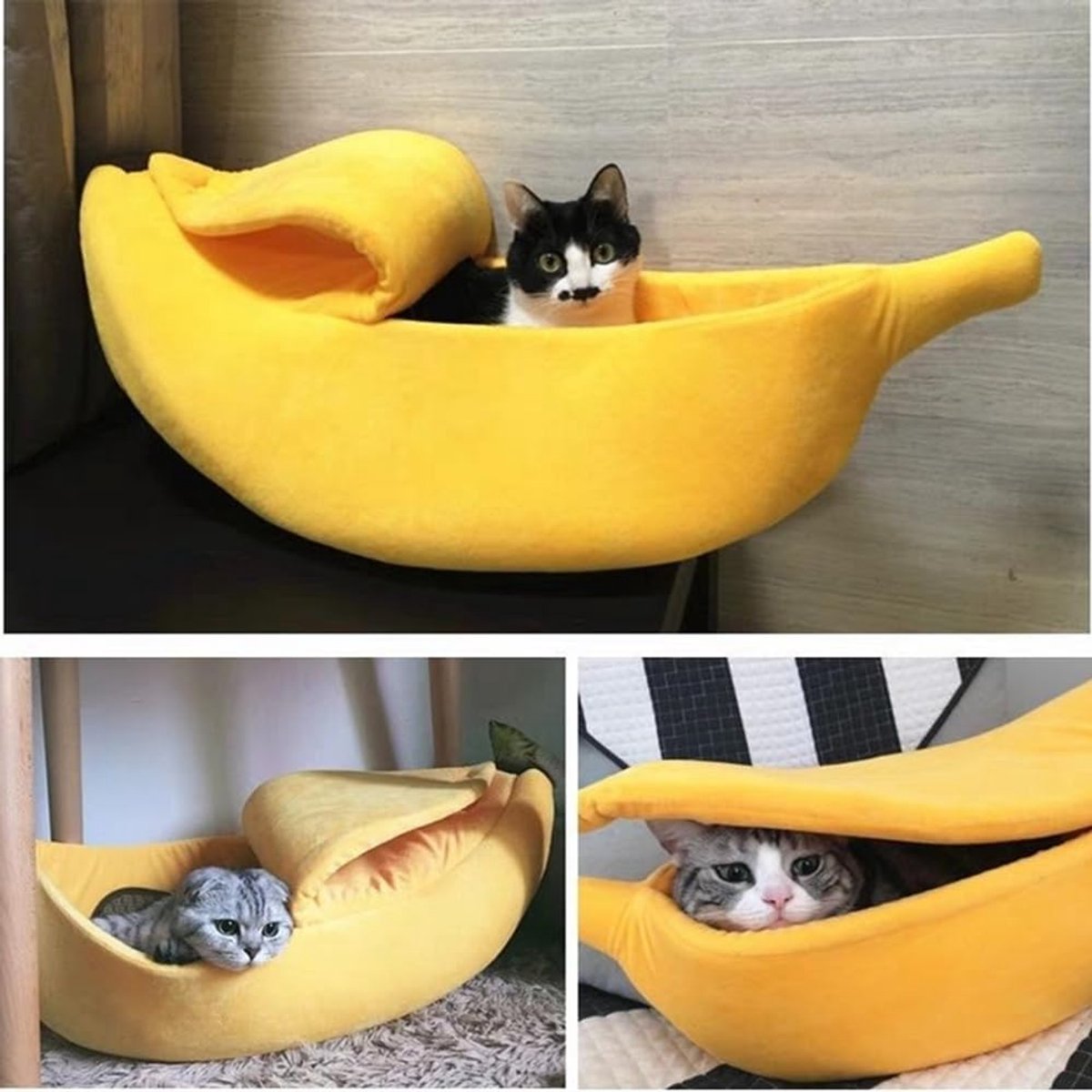 Cat Basket - Creative Cat Basket - and Cat Kennel - Warm and soft plush puppy mat - Cute fruit design for cats, kittens and dogs - 55 x 20 x 15 cm(M)