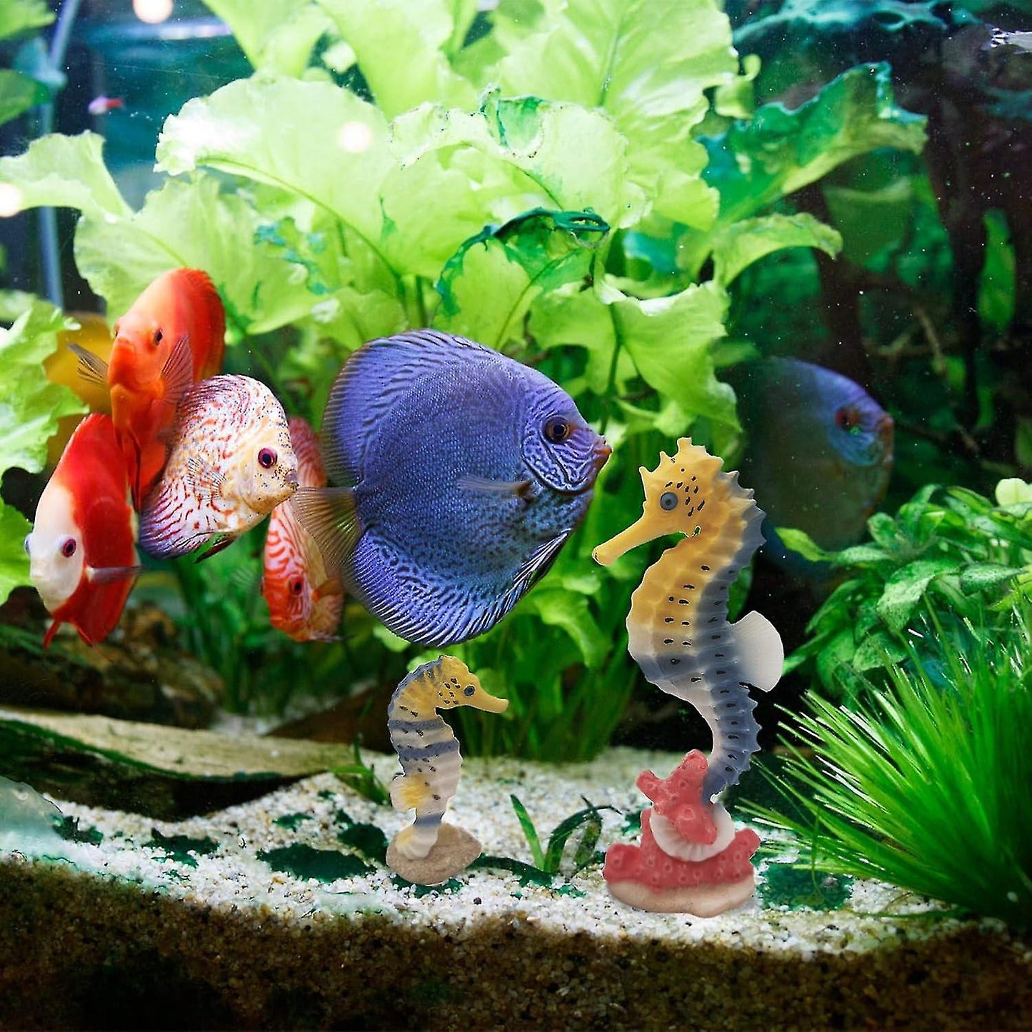 Seahorse Statue Ornament Compatible with Aquarium Decor Resin 2 Pieces