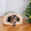 Cat Bed - Cat Basket - Winter Warm - Pet Basket - Autumn/Winter Dog Bed - Pet Cat - Puppy - Cat Bed - Warm - 65*48cm