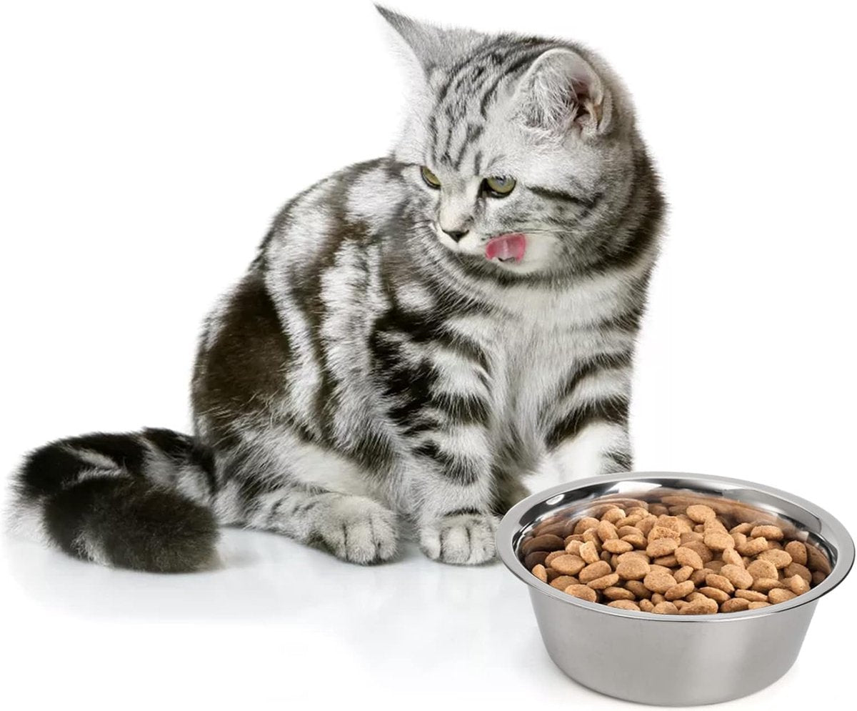 4-Pack Stainless Steel Food and Water Bowls for Cats and Dogs - Pet Food and Water Bowls - Pet Bowls - For Large, Medium, and Small Dogs - Kitten Bowls - Puppy Bowls