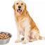 4-Pack Stainless Steel Food and Water Bowls for Cats and Dogs - Pet Food and Water Bowls - Pet Bowls - For Large, Medium, and Small Dogs - Kitten Bowls - Puppy Bowls