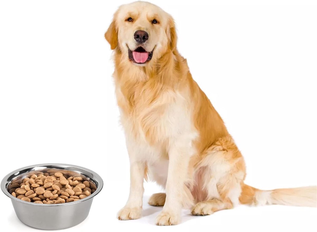 4-Pack Stainless Steel Food and Water Bowls for Cats and Dogs - Pet Food and Water Bowls - Pet Bowls - For Large, Medium, and Small Dogs - Kitten Bowls - Puppy Bowls