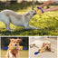 Bite Resistant Dog Toys - Heavy Duty Training Toys with Bite Resistance - Dog Tug Toys - Highly Efficient and Durable Training Aids - Yellow - One