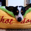 Hotdog Design Dog Bed - Soft, Removable & Washable Pet Mat for Small Dogs