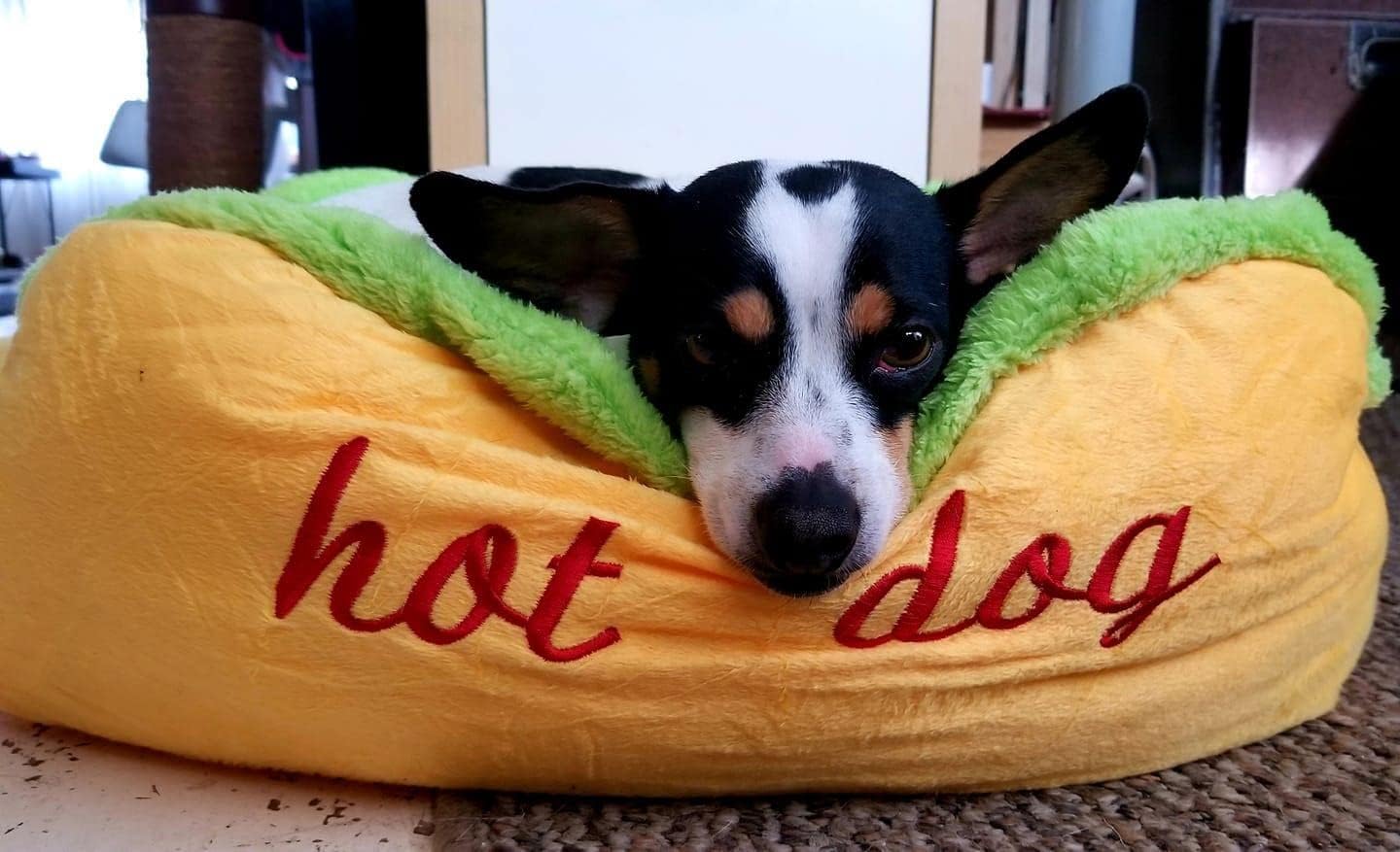 Hotdog Design Dog Bed - Soft, Removable & Washable Pet Mat for Small Dogs