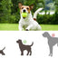 Dog Ball Launcher Thrower Automatic Tennis Fetch Throwing Machine with 3 Balls -Light Green
