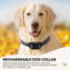 Rooster Farms Dog Bark Training Collar Citronella + Sound Rechargeable Automatic
