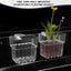 2pc Aquarium Plant Holder Clear Hanging Aquatic Planters with Hooks for Fish Tank Decor