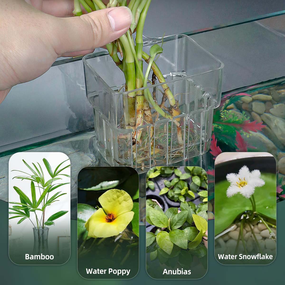 2pc Aquarium Plant Holder Clear Hanging Aquatic Planters with Hooks for Fish Tank Decor