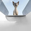 Litter Tray Box with Splash Guard and Wide Opening for Cats Open Top Design - Grey