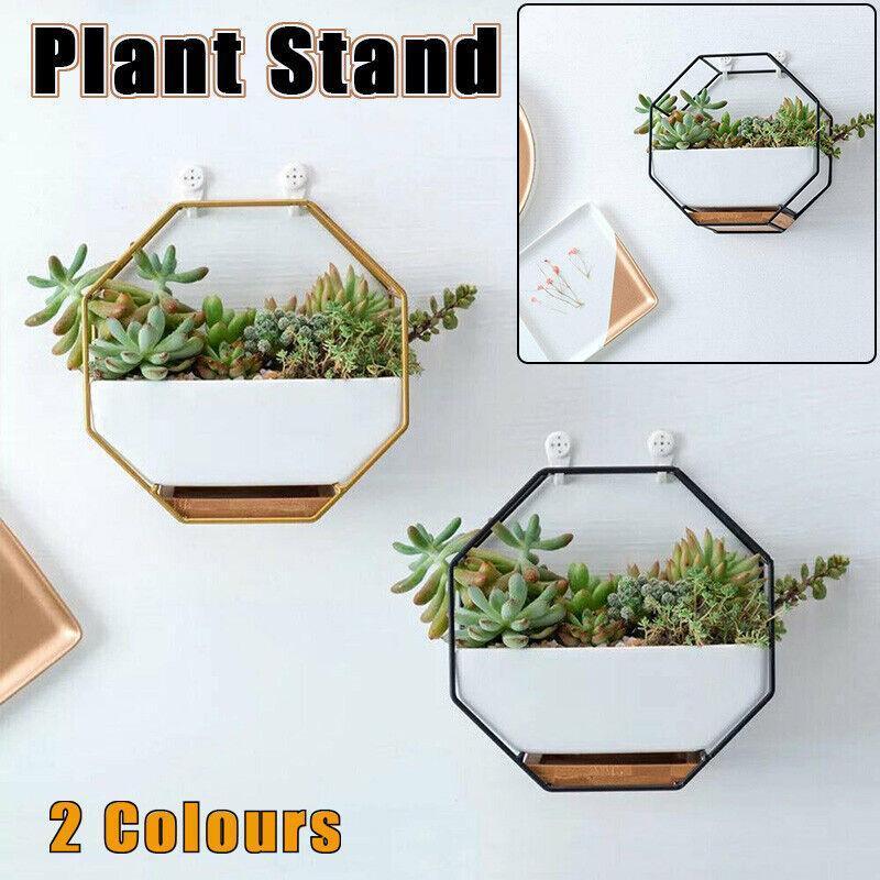 Wall Hanging Succulent Planter Pot Indoor Outdoor Flower Plant Vase Garden Decor - Gold