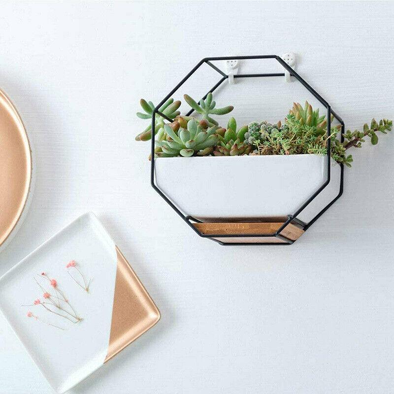 Wall Hanging Succulent Planter Pot Indoor Outdoor Flower Plant Vase Garden Decor - Gold