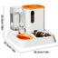 Pet Water Dispenser Automatic Feeder Bowl Cat Dog Drinking Fountain Food Feeding - Green