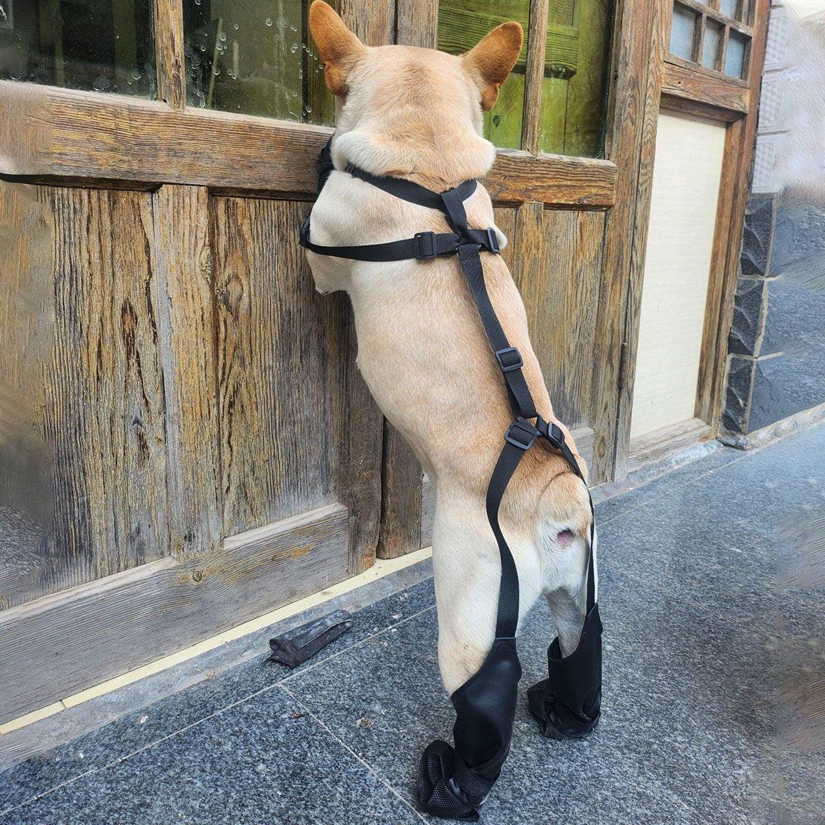 Dog Adjustable Suspender Boots Waterproof Dog Shoes Anti-Slip Pet Paw Protector - M
