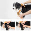 Vibe Geeks Ultimate 2-in-1 Reflective No-pull Dog Harness with Retractable Leash and Control Handle - Blue - Xl