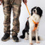 Vibe Geeks Ultimate 2-in-1 Reflective No-pull Dog Harness with Retractable Leash and Control Handle - Blue - Xl