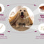 PawfectFriend Flea Collar for Dogs 8 Months Natural Flea Tick Collar for Dog Puppy