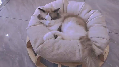 Timber Gyro Cat Nest Bed - Image 1.0