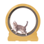 Cat Running Wheel w/ Carpet Runway Cat Exercise Wheel for Fitness Cat Treadmill