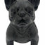 Danny French Bulldog Statue 47cm