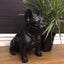 Danny French Bulldog Statue 47cm