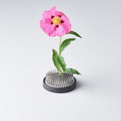 Kenzan Ikebana Pin Base 6cm Round
