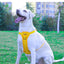 Reflective Dog Harness with Leash, No-Pull Vest Harness for Dogs, Adjustable Dog Vest with Handle, Walking Training Pet Harness XL size